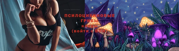 гидропоника Струнино