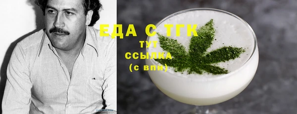 гидра Абаза