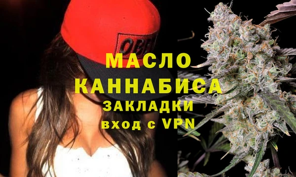 шишки Ельня