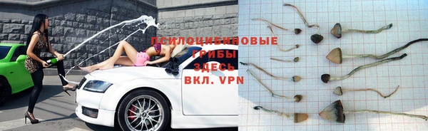 гидропоника Струнино