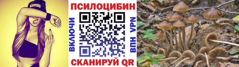 Псилоцибиновые грибы GOLDEN TEACHER  что такое наркотик  Эртиль 