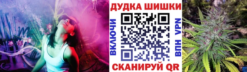 Конопля ГИДРОПОН МЕГА ссылки нарко площадка какой сайт Эртиль